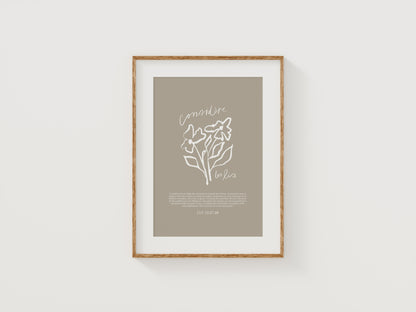 Considère les lis ~ Luc 12:27-28